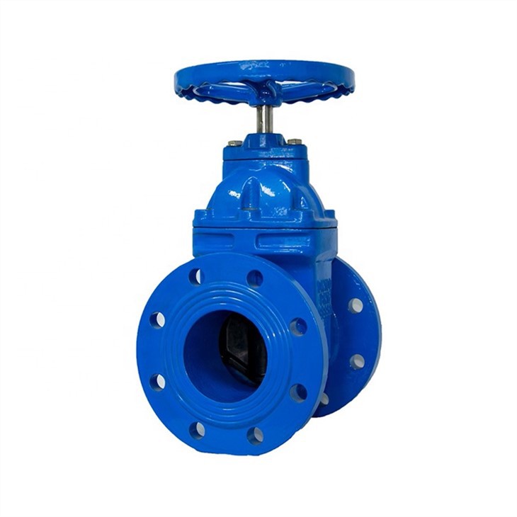Cast Iron Gate Valve