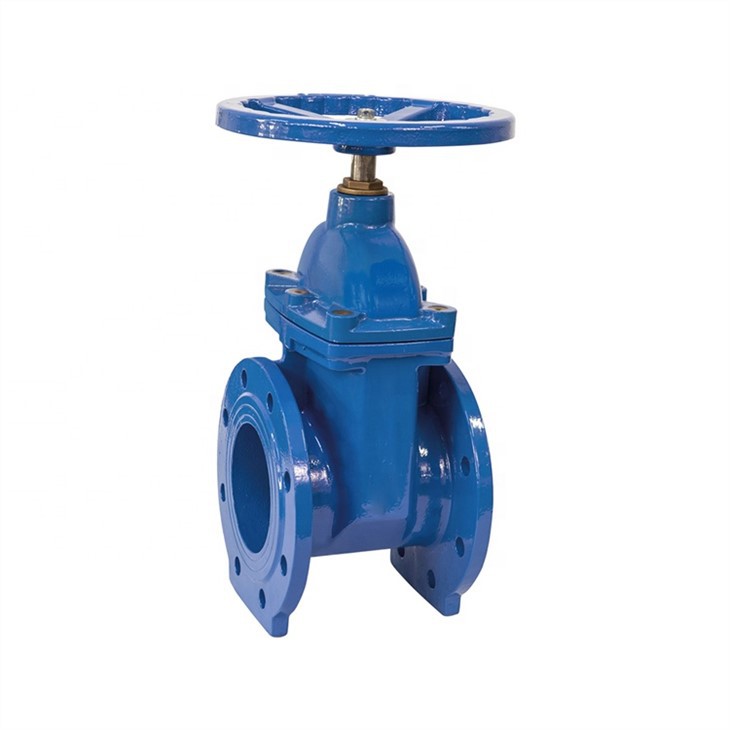 Cast Iron Gate Valve