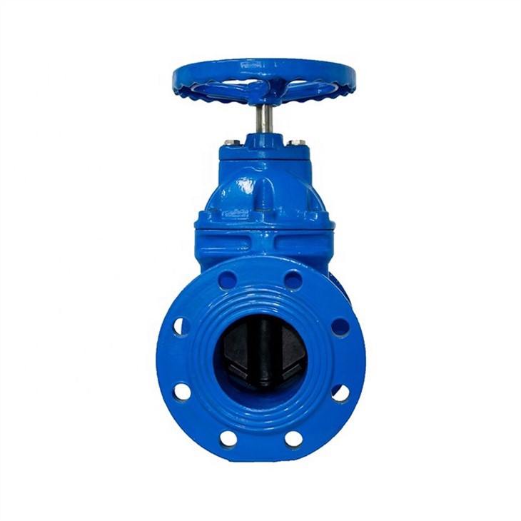 Cast Iron Gate Valve
