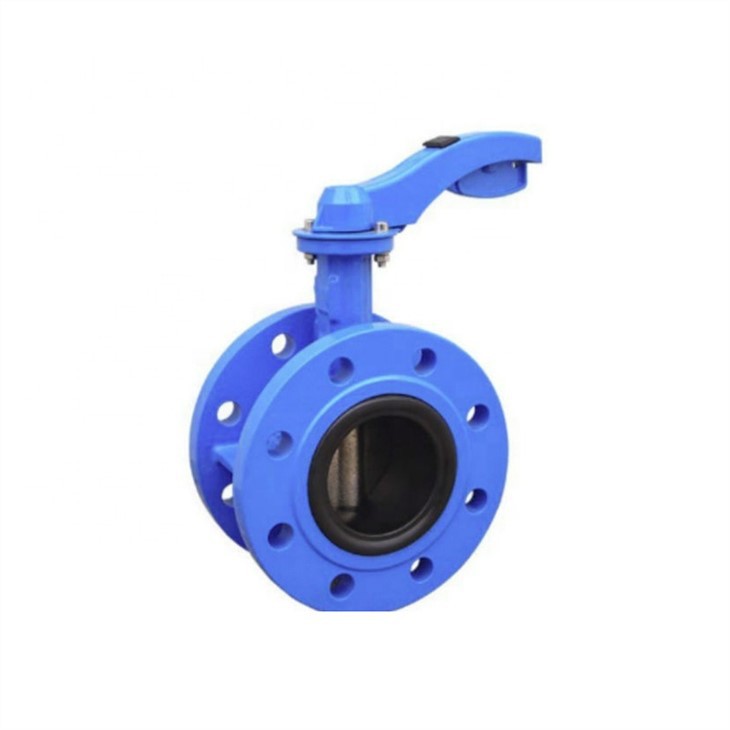 Double Flanged Concentric Butterfly Valve