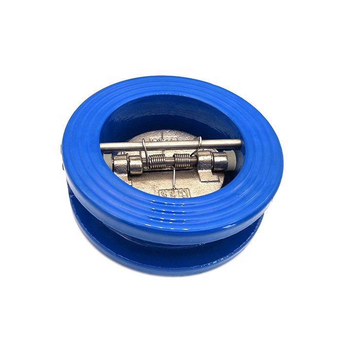 Dual Plate Check Valve