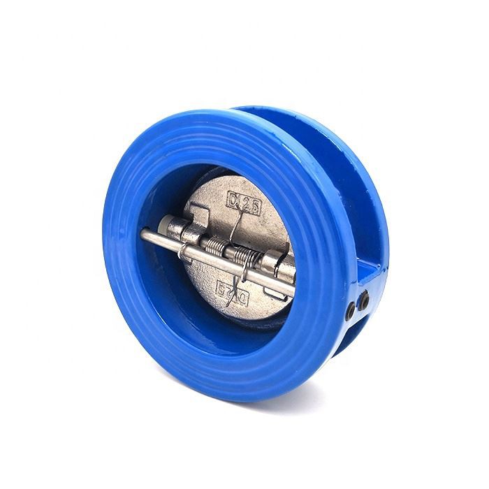 Dual Plate Check Valve