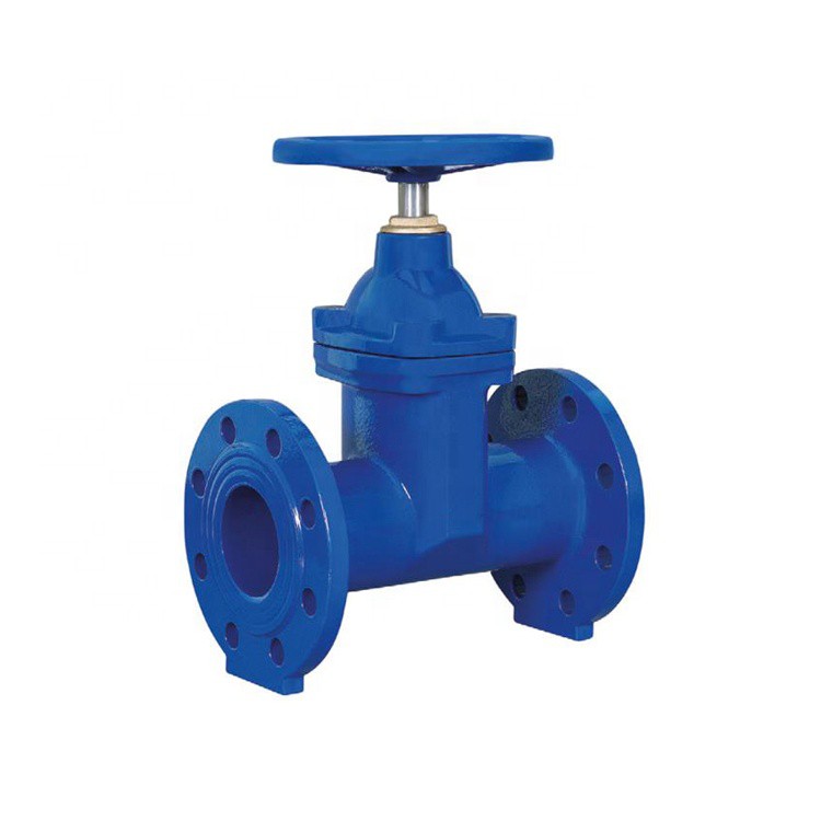F5 Gate Valve