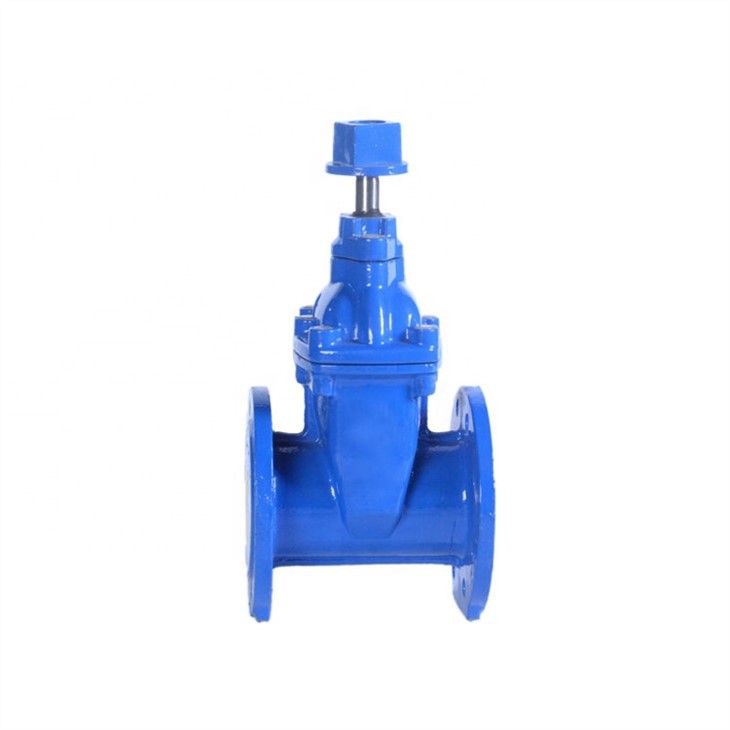 F5 Gate Valve
