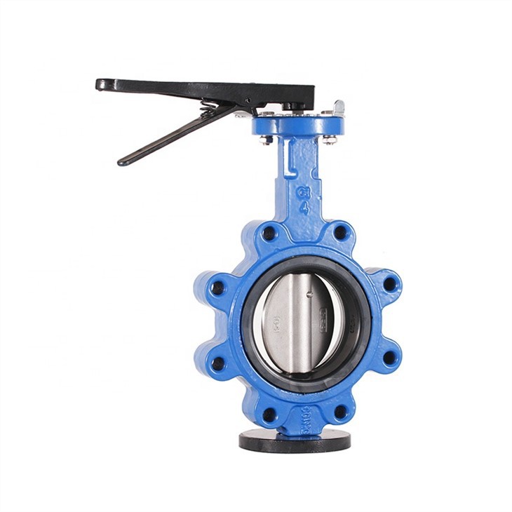 Lug Type Butterfly Valve