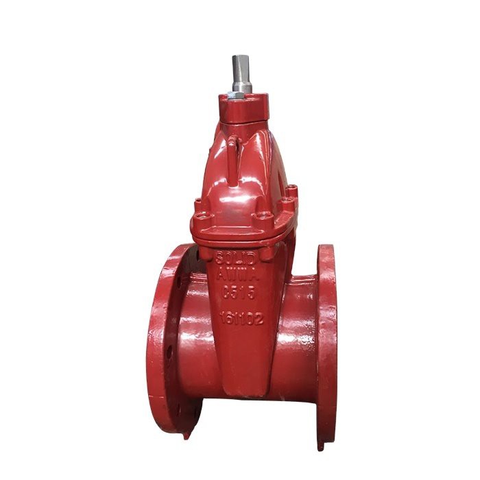 Resilient Wedge Gate Valve