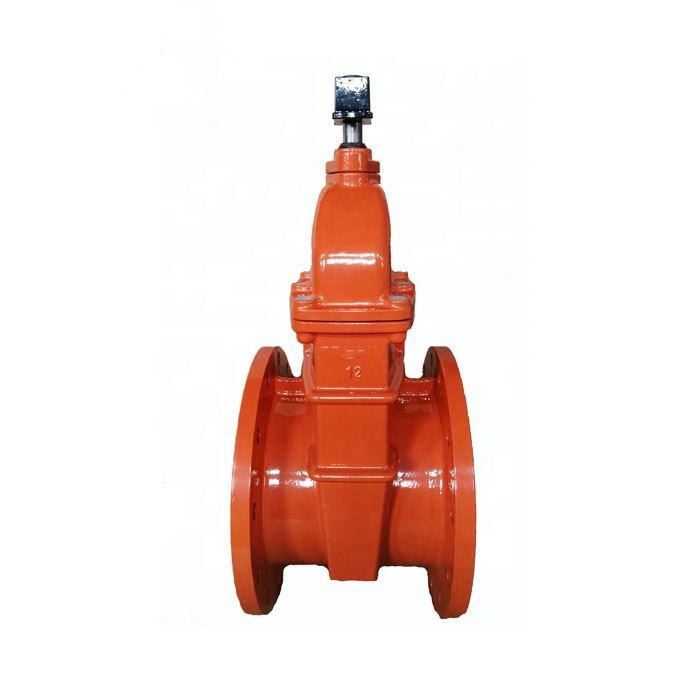 Resilient Wedge Gate Valve
