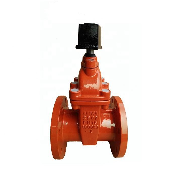 Resilient Wedge Gate Valve