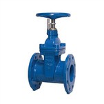 Cast Iron Gate Valve