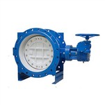 Double Flange Butterfly Valve