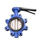 Lug Type Butterfly Valve