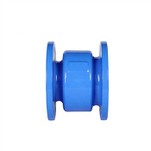 Silent Check Valve