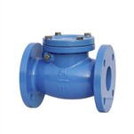 Swing Type Check Valve
