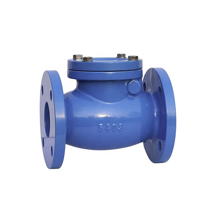 Swing Type Check Valve