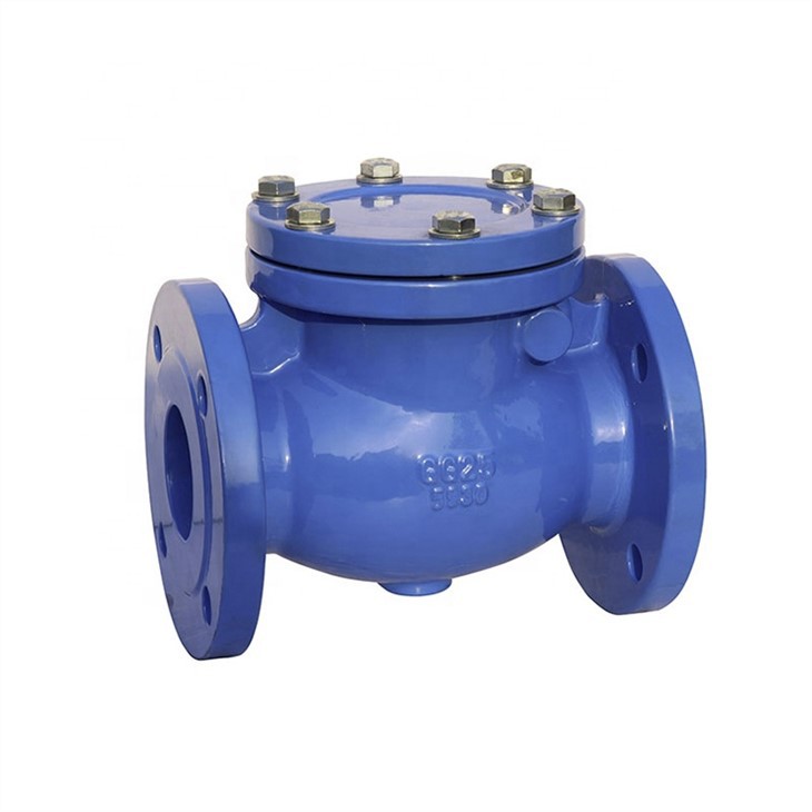 Swing Type Check Valve